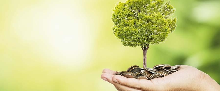 Fernstudium: Umwelt- und Klimaschutzmanager